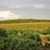 Kutnohorsko